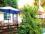 Stellar Jay Cottage